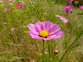 DSCF4037.JPG