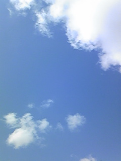 Image018.jpg