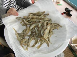 20120122_171157.jpg