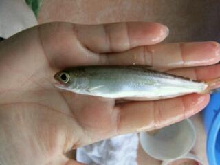 20120122_173026.jpg