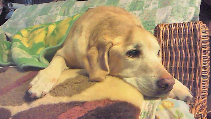 201212011522001.jpg